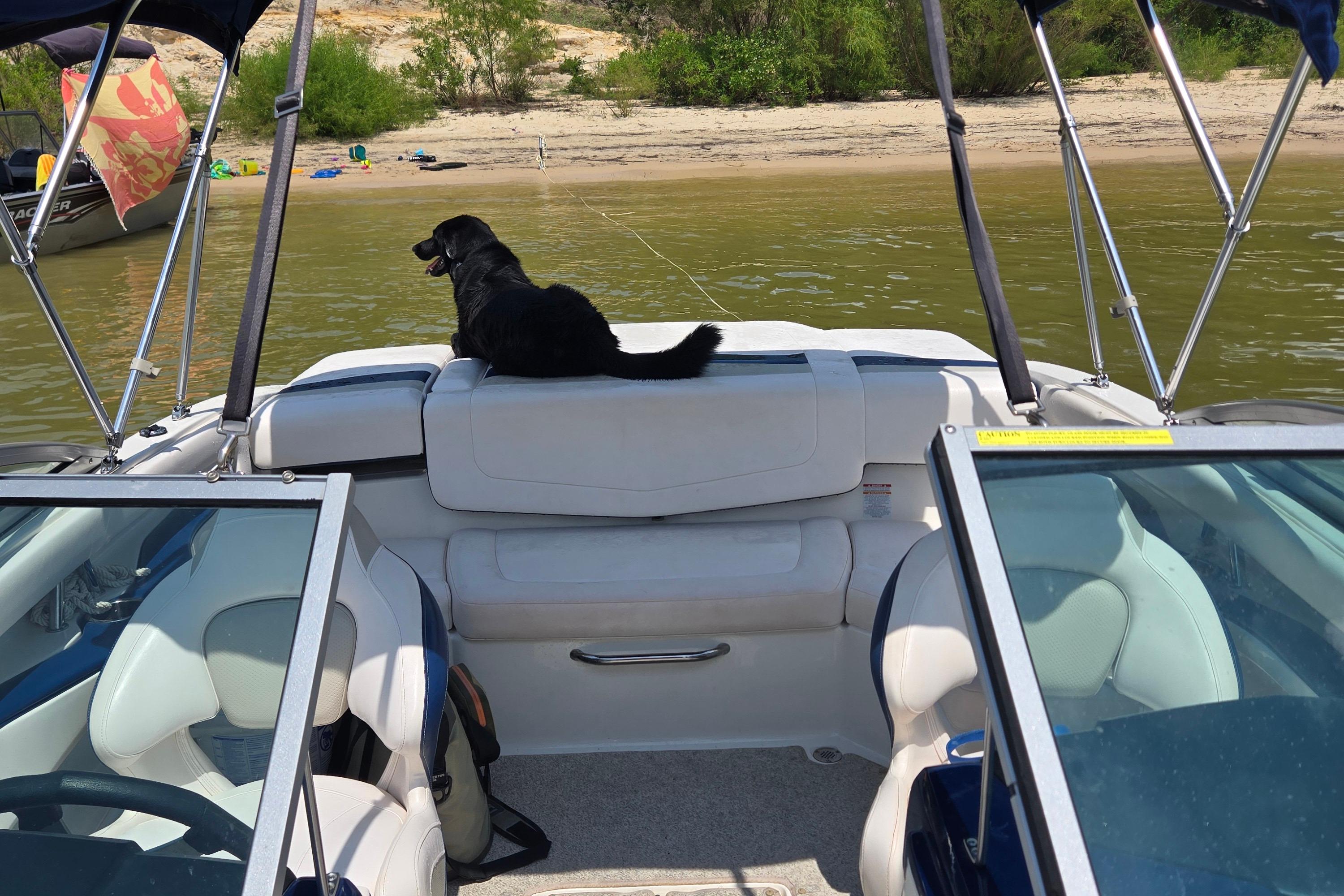 2010 Chaparral 206 SSI / Volvo Penta 4.3 GXi - Image 13