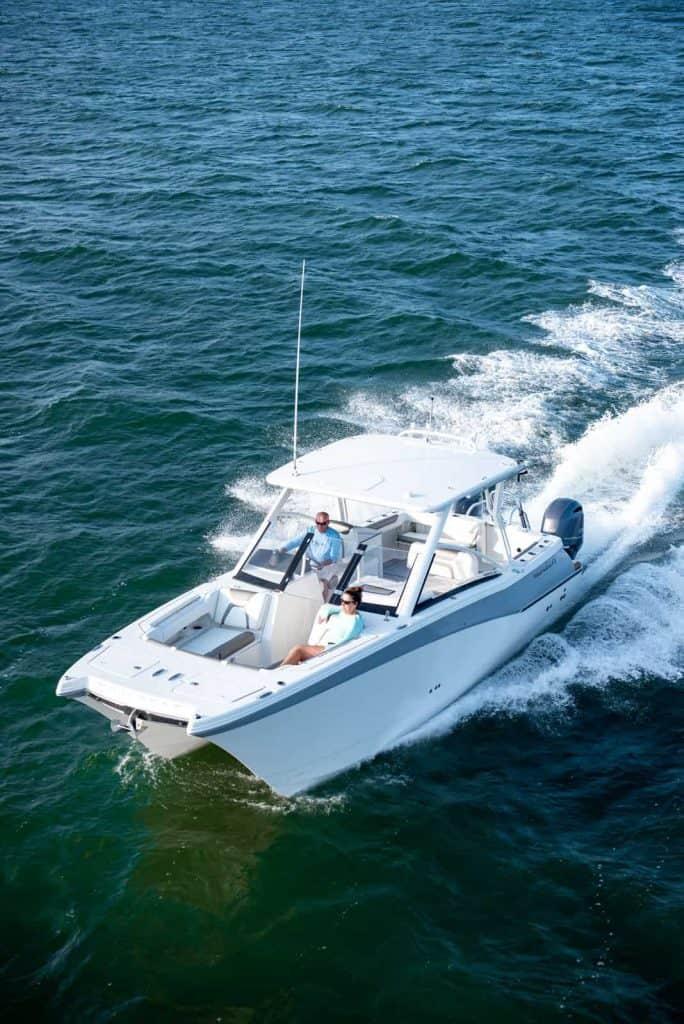 World Cat - 50North