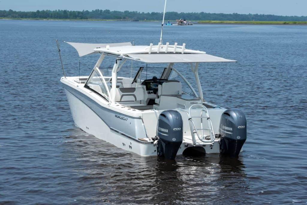 World Cat - 50North