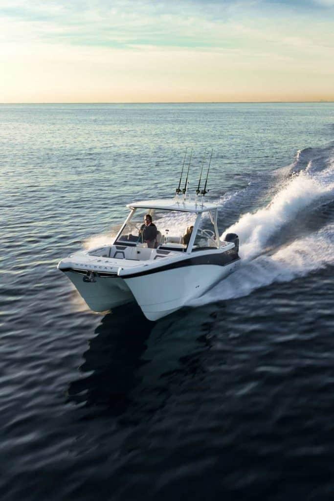 World Cat - 50North