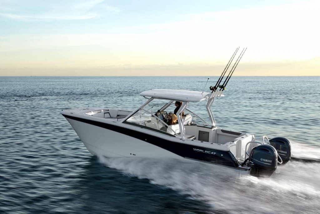 World Cat - 50North