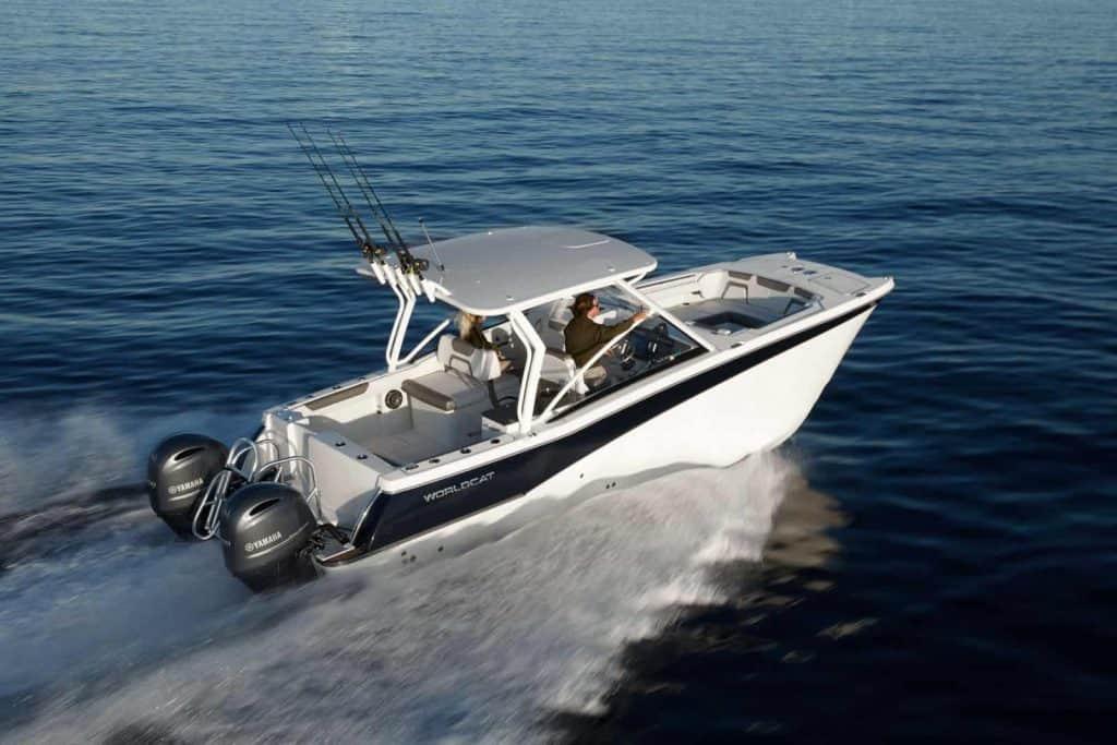 World Cat - 50North