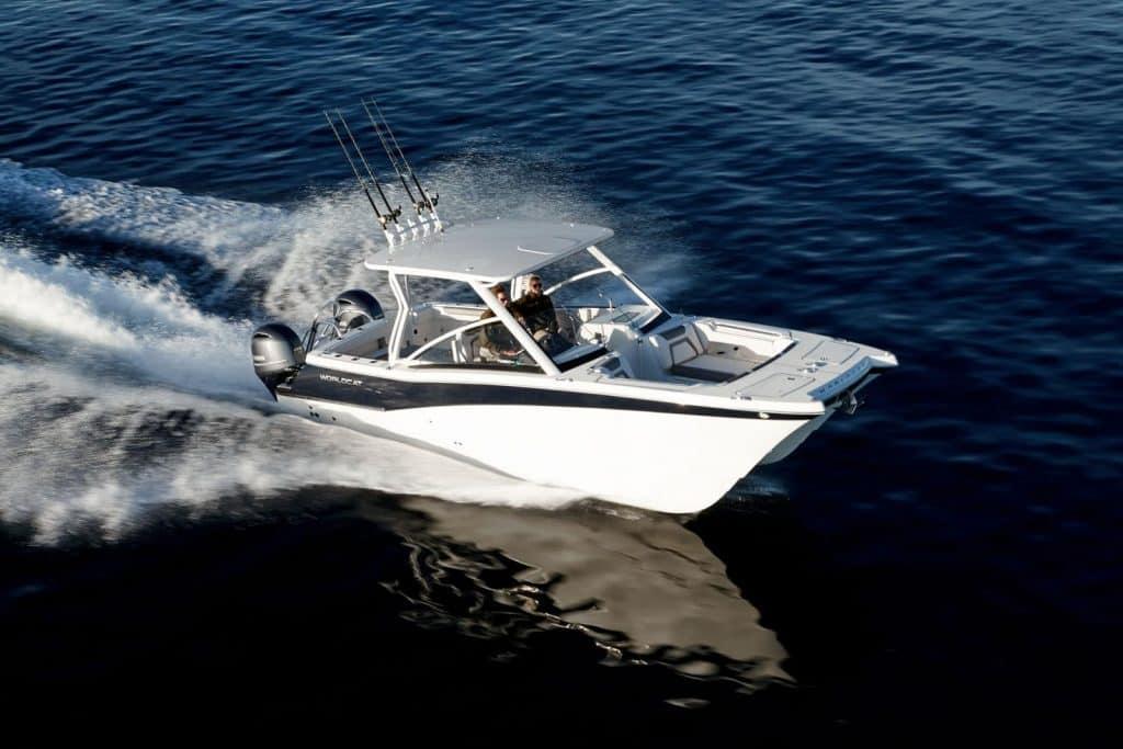 World Cat - 50North