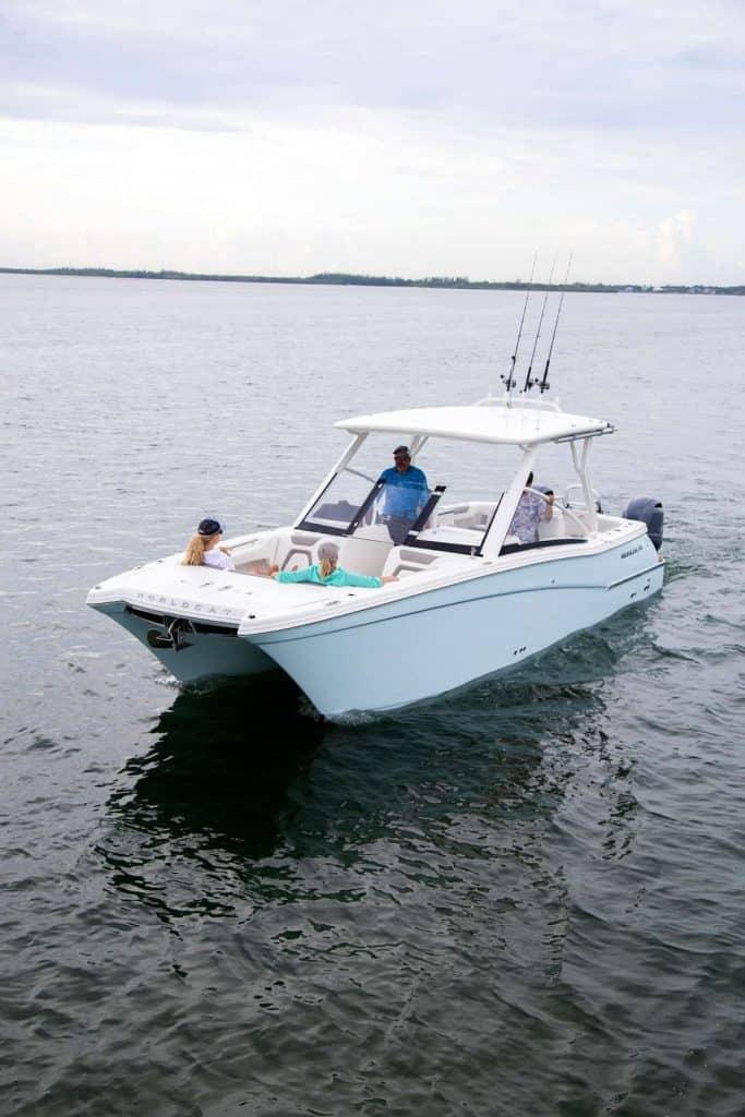 World Cat - 50North