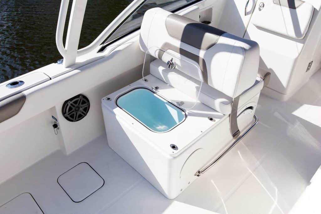 World Cat - 50North