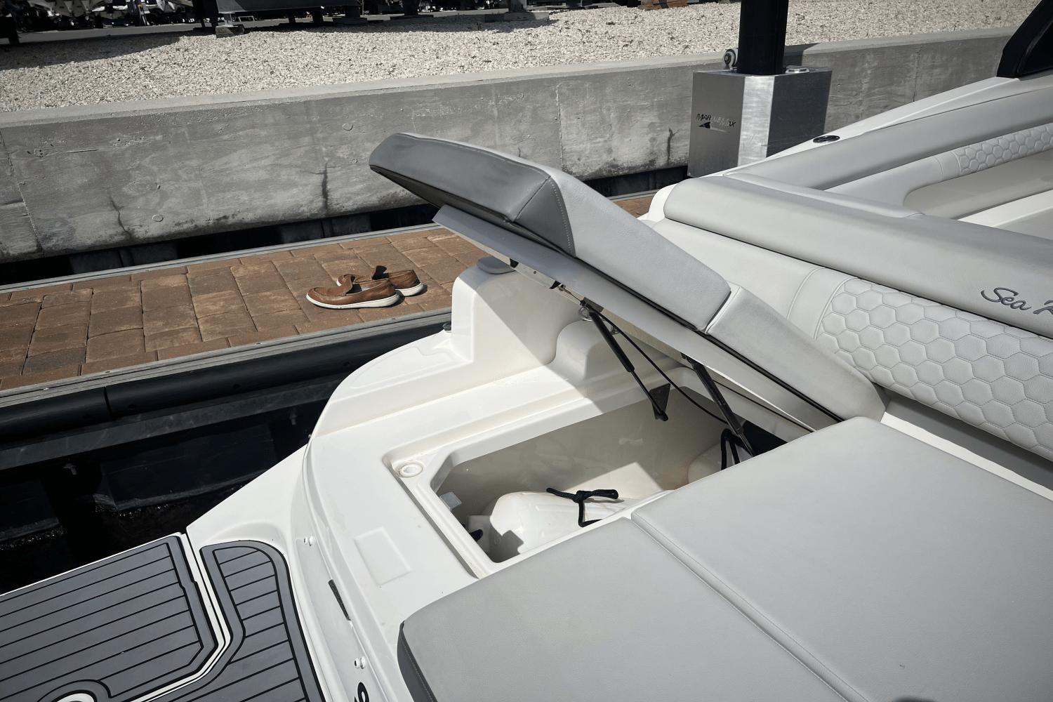 2020-sea-ray-290-sdx-outboard-power-9503752-967429415-0-230820241331-2