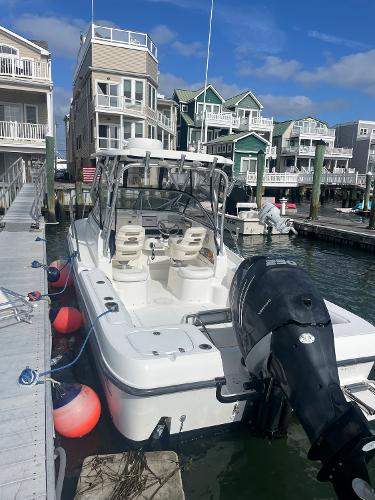 23' Boston Whaler, Listing Number 100911323, - Photo No. 11