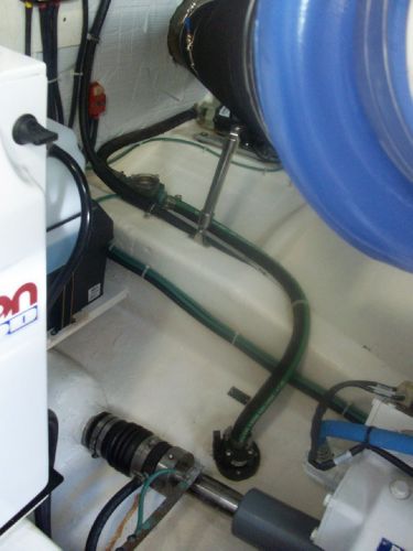 Spotless Bilges