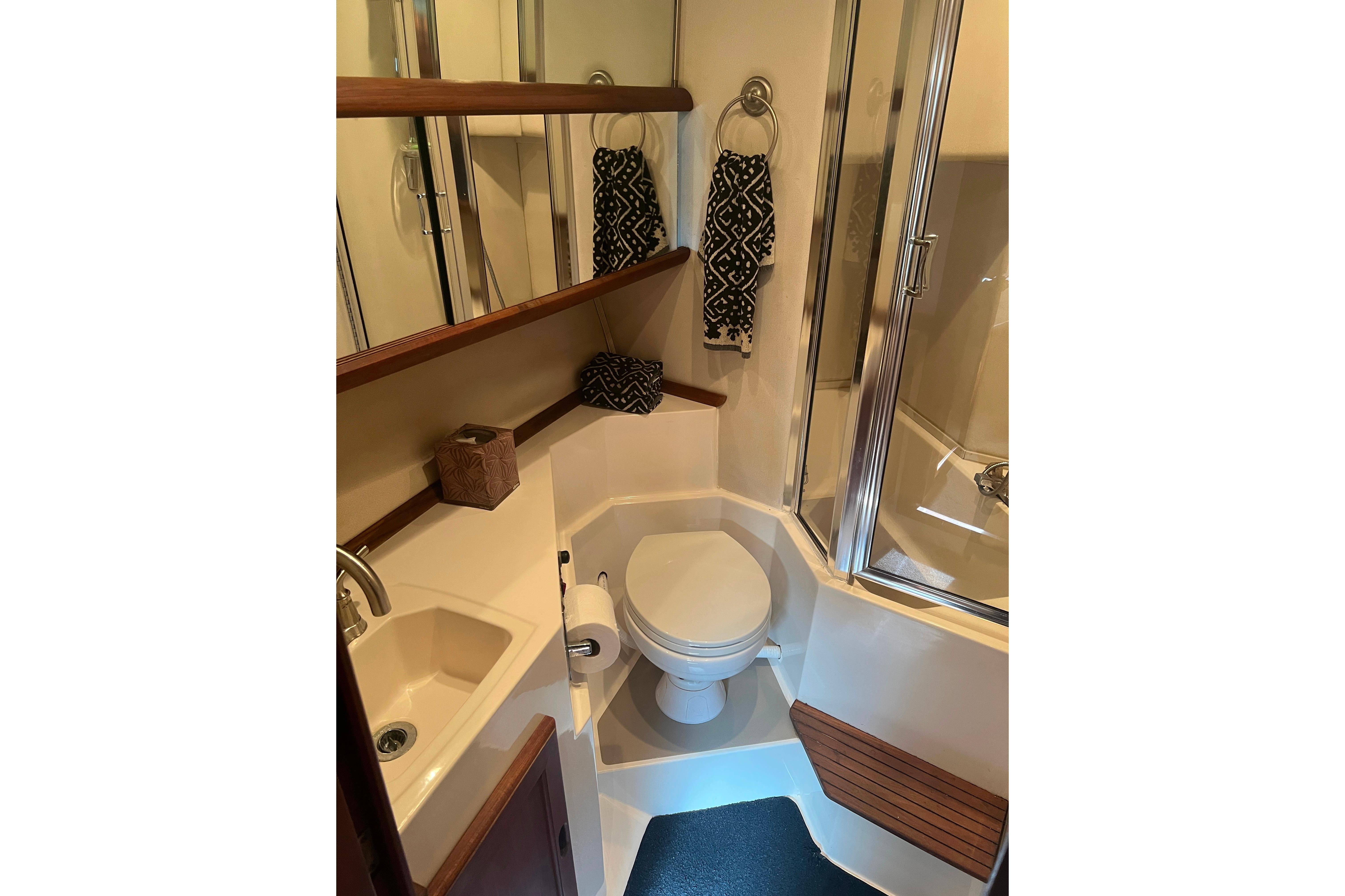 1986 Bayliner 4550 Motoryacht bathroom with shower, sink, and toilet.