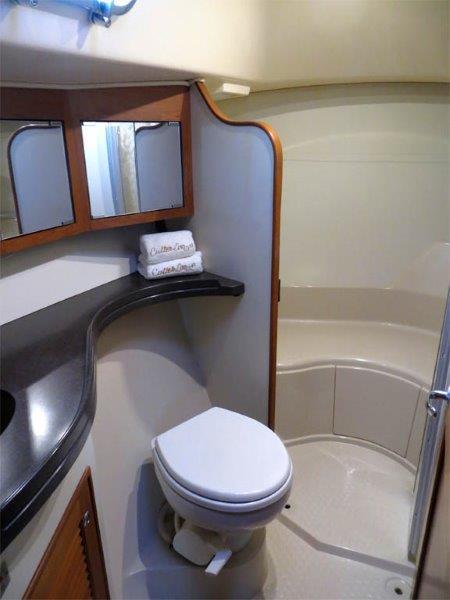 Forward Master Head - huge shower