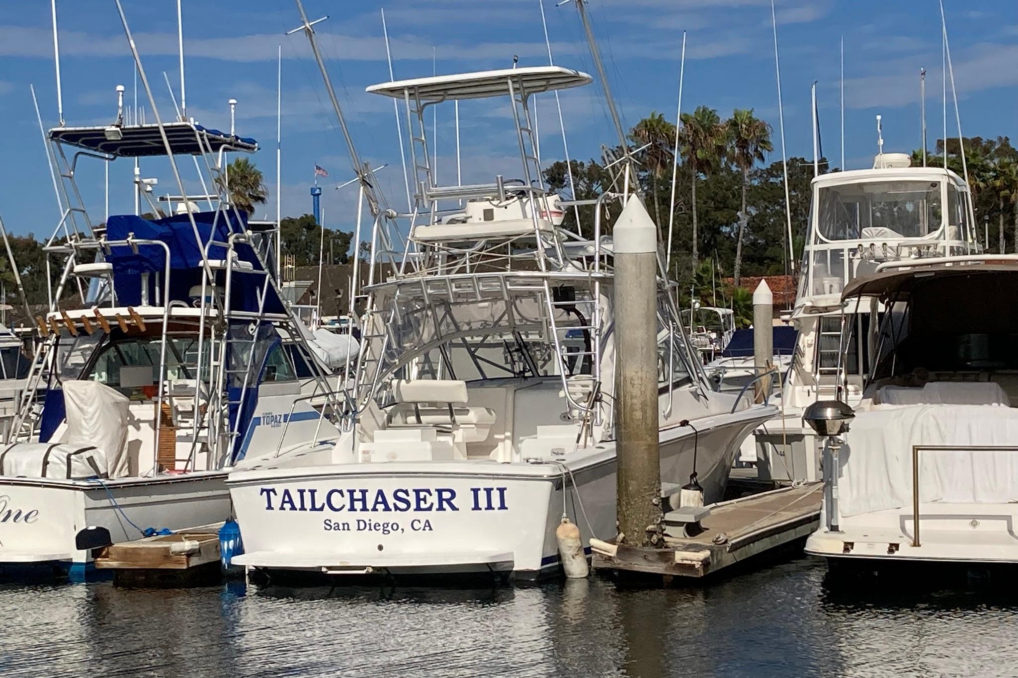 Tailchaser III