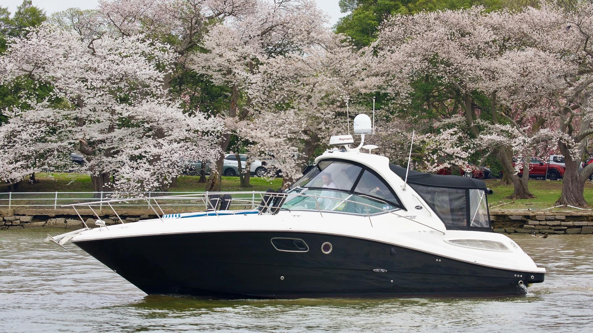 54 ft Sea Ray 2013