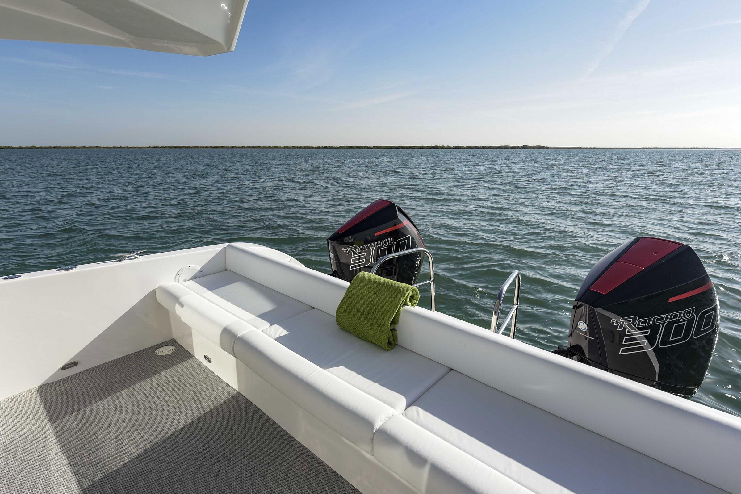 SilverCAT-34LUX 2026 -FL-US-9694346 | Thumbnail