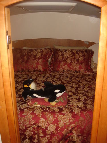 Photo 33