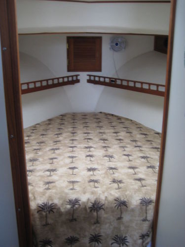 FWD Cabin