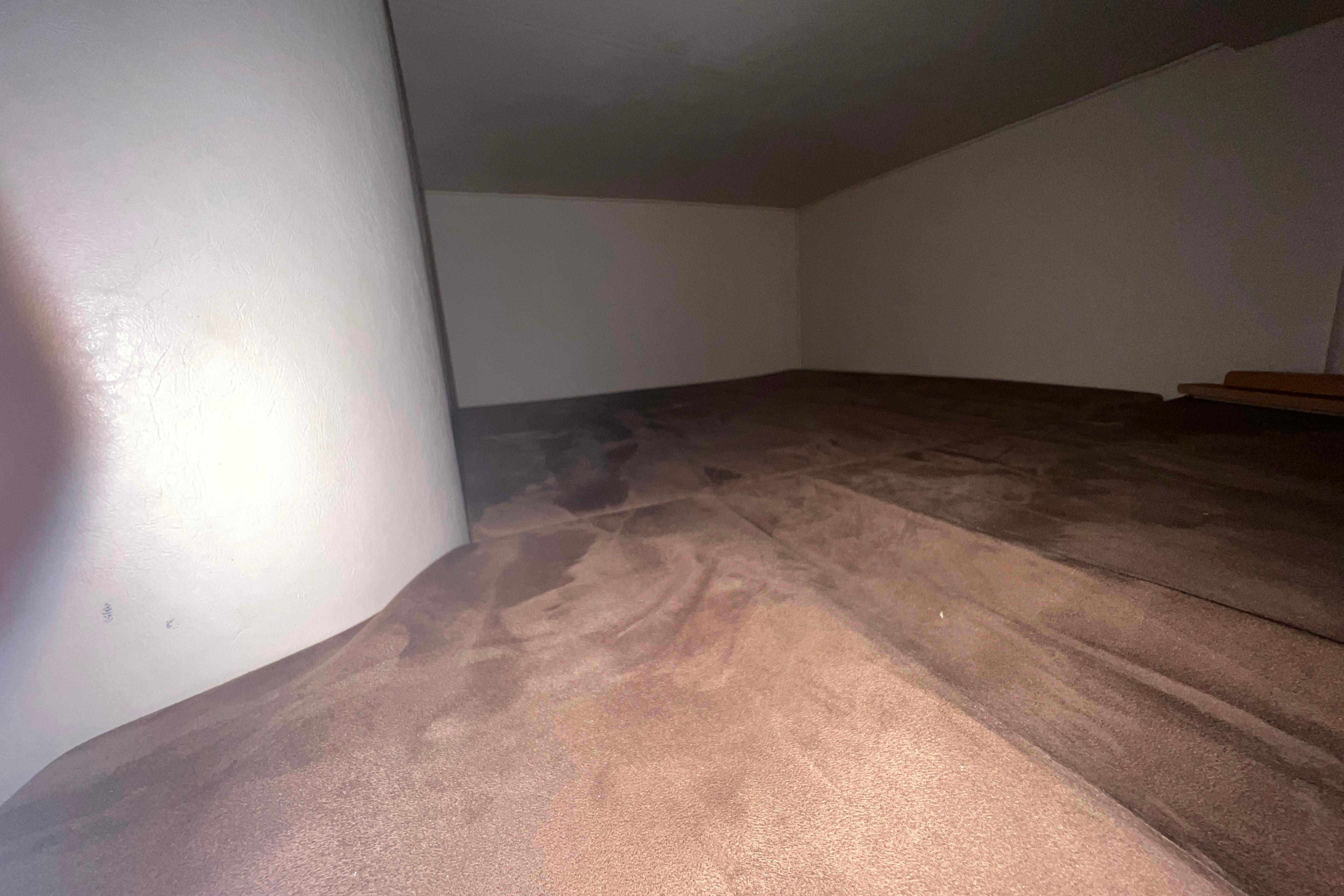 Interior cabin space of 1999 Sea Ray 290 Sundancer boat, featuring brown carpet.