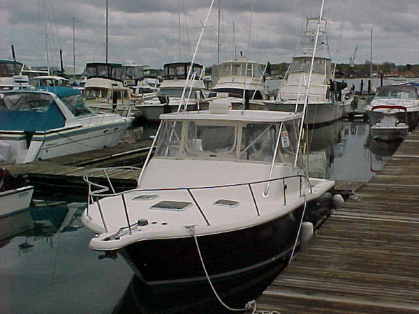 Bow View