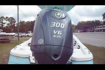 BlackJack 256 Bay video