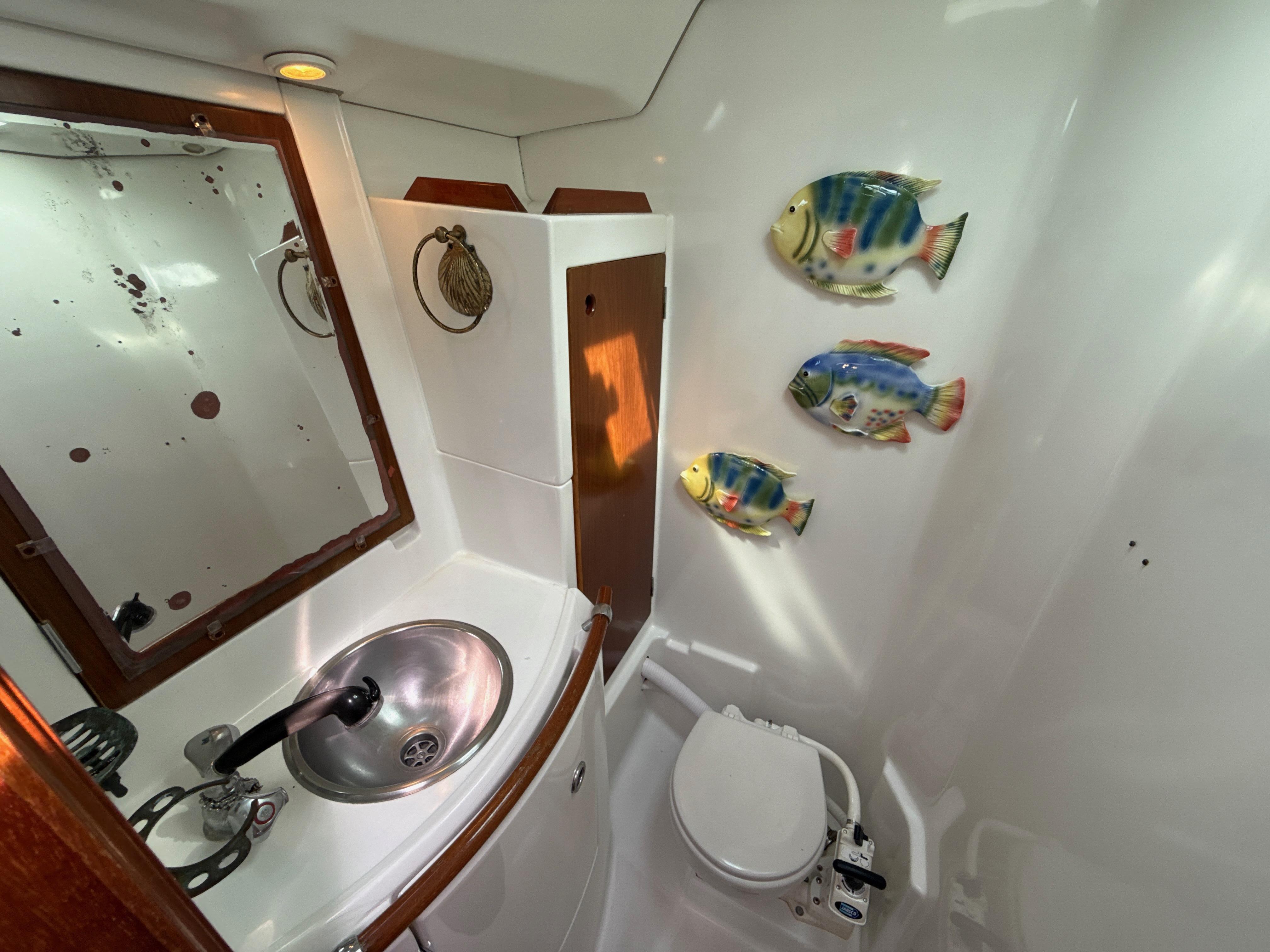Yacht Photos Pics