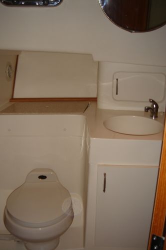 Vac-u-flush head