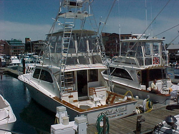 Stern View