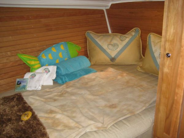 Guest Stateroom looking aft (Sistership)