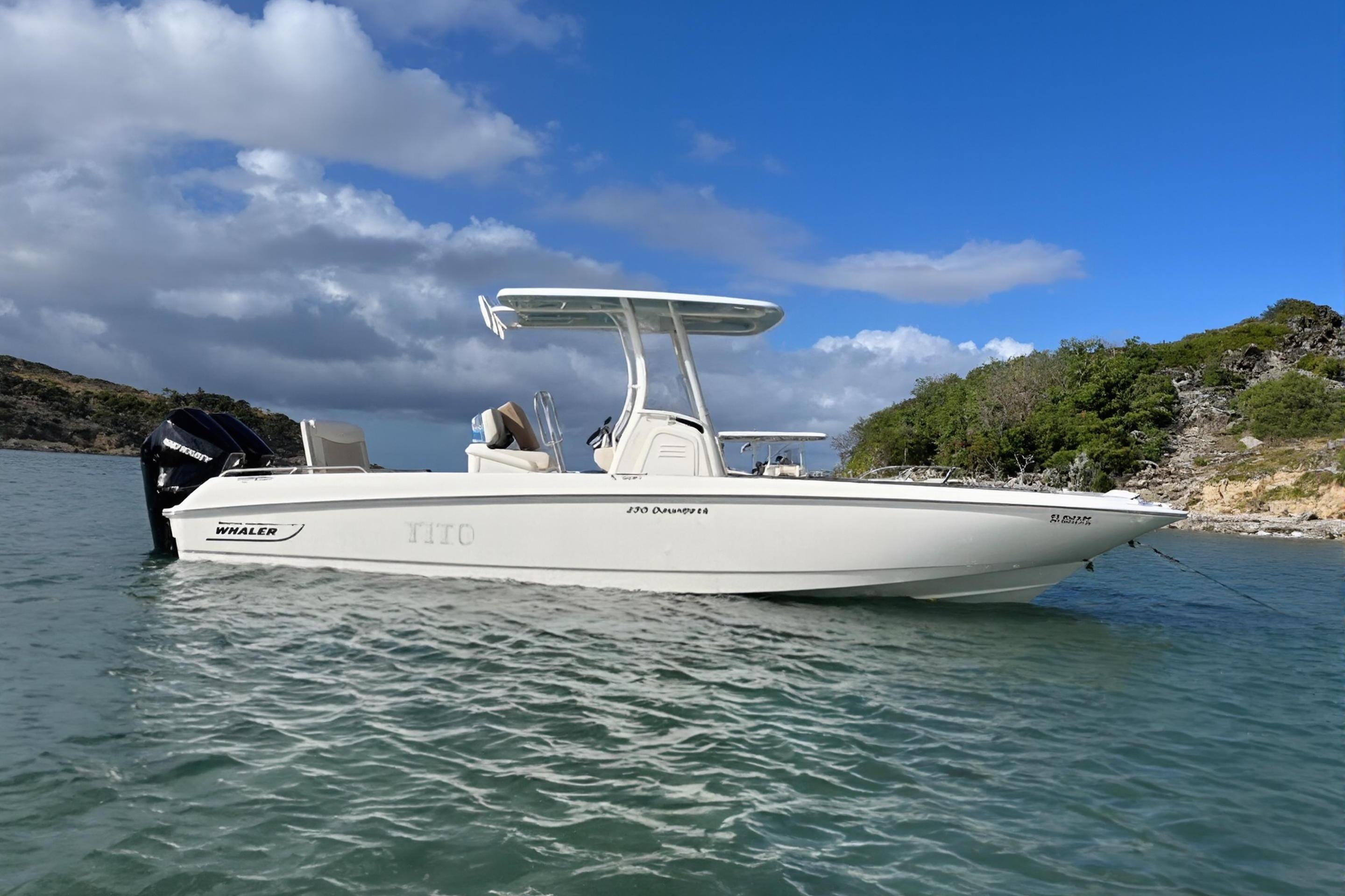 2022 Boston Whaler 270 Dauntless TITO