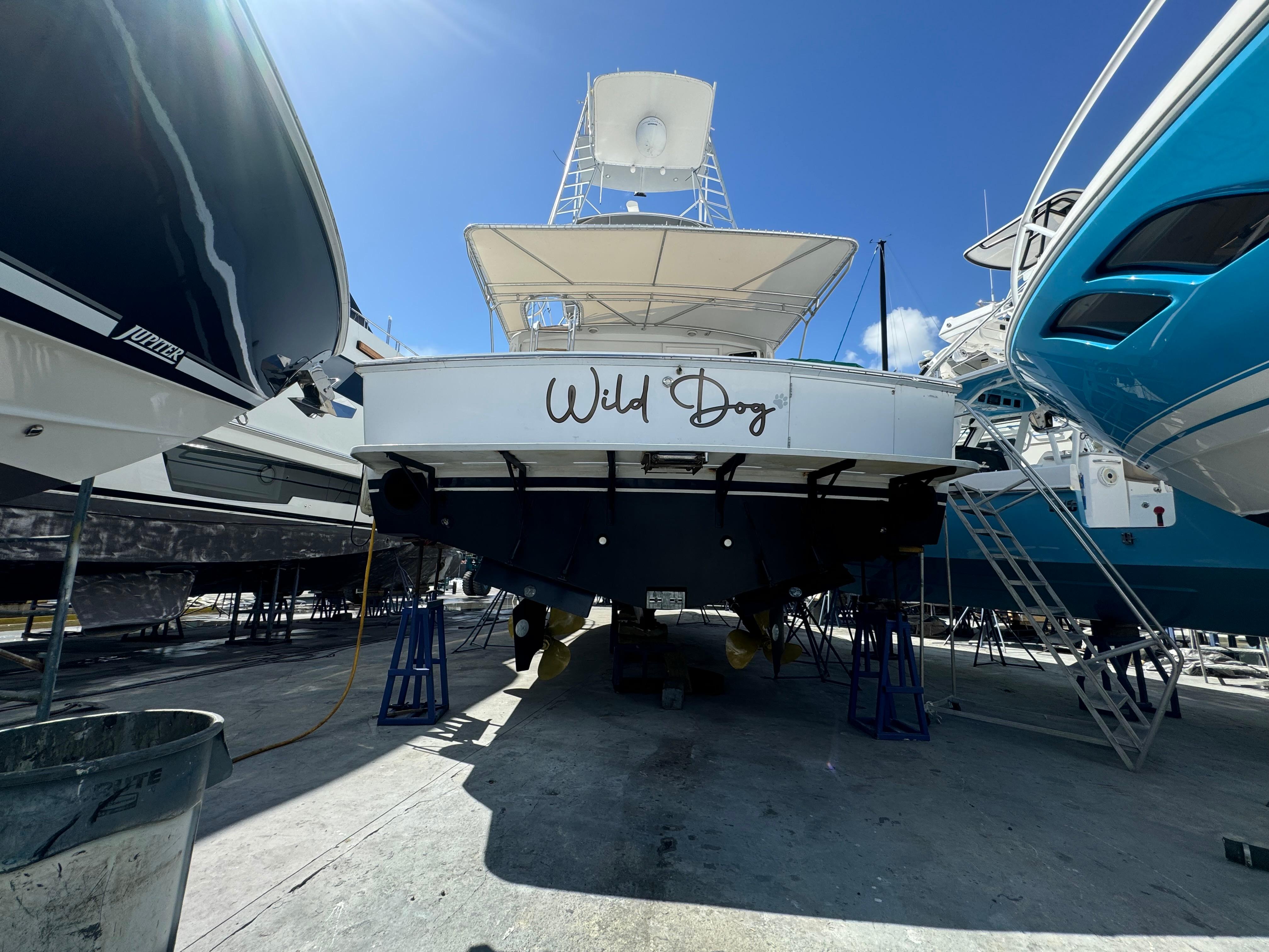 Wild Dog Yacht Photos Pics 