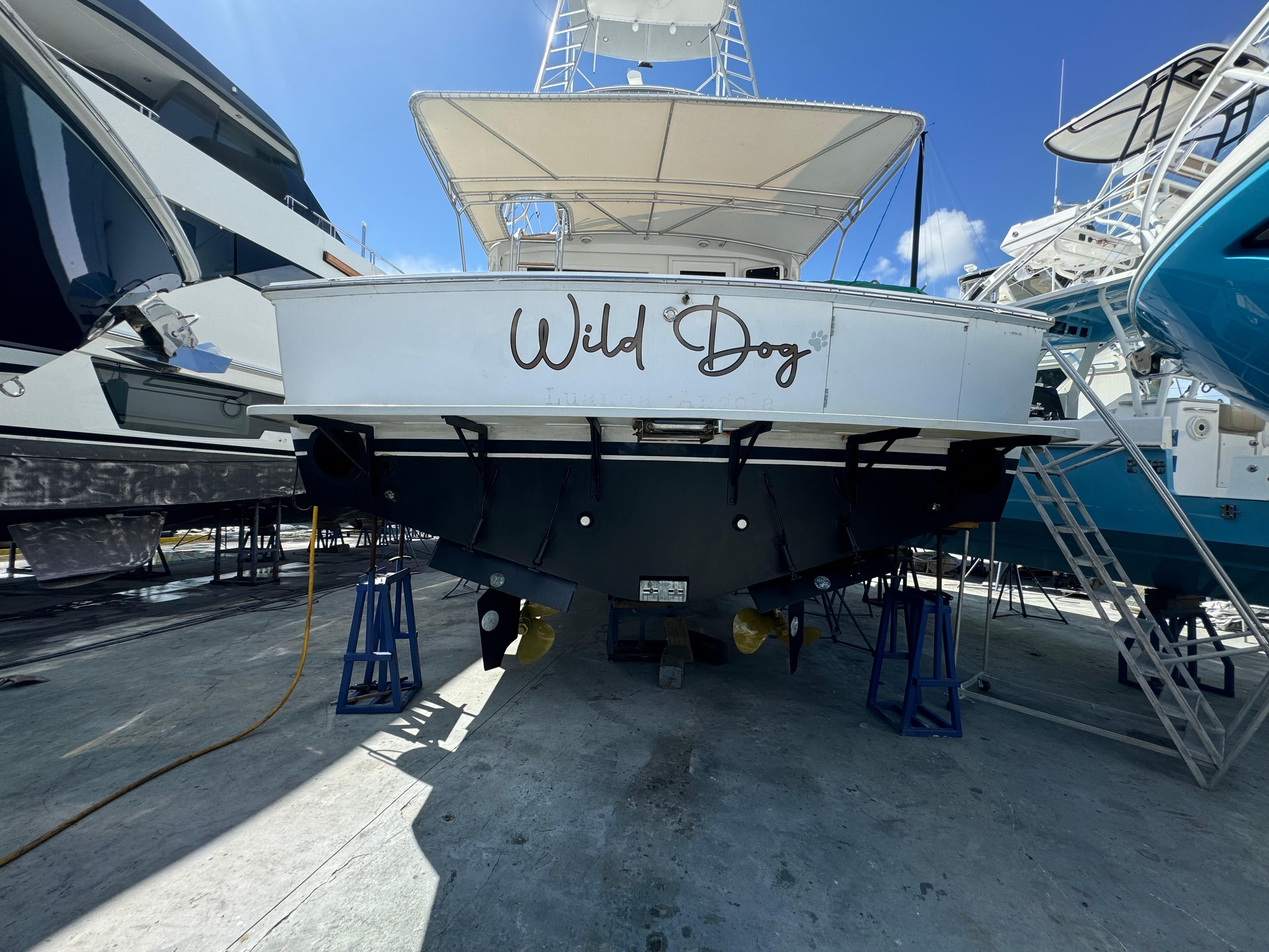 Wild Dog Yacht Photos Pics 