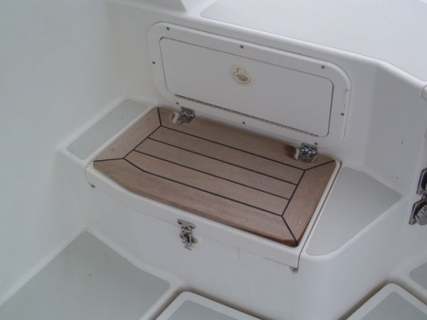 Cockpit Steps