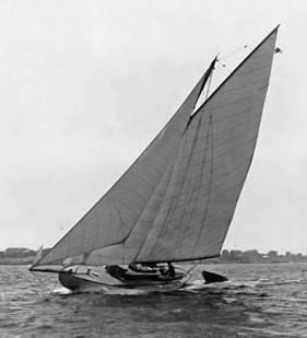 JOKER - 1903 Herreshoff Bar Harbor 31 gallery image 4