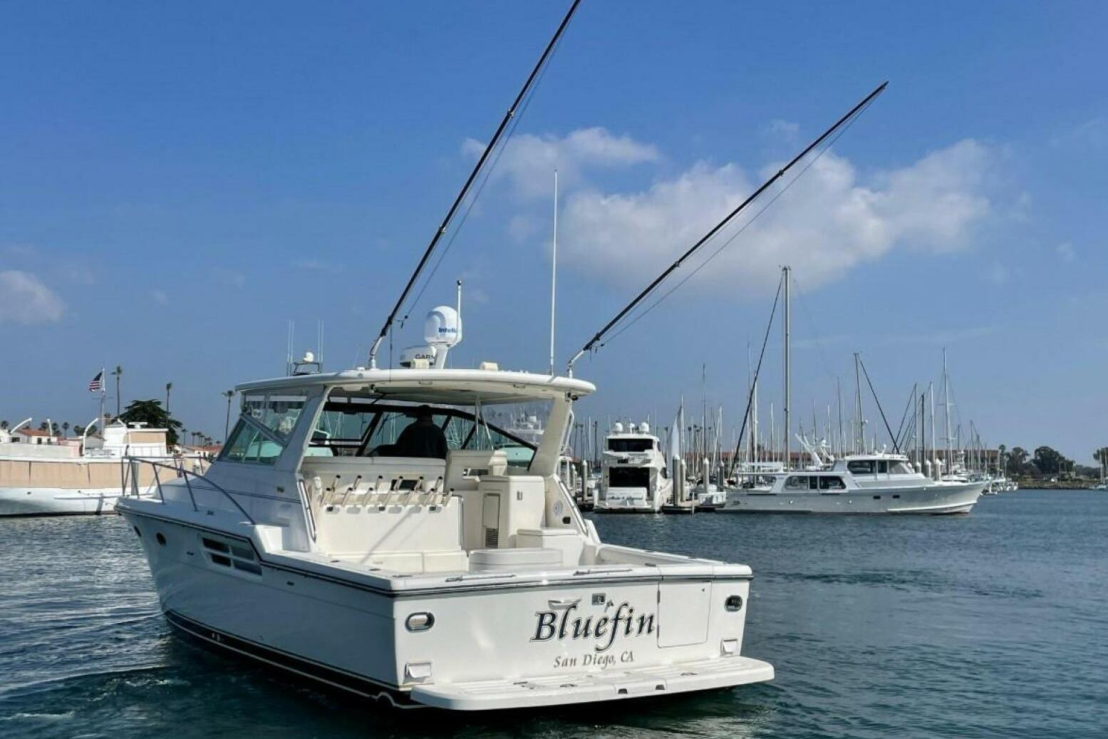 BLUE FIN