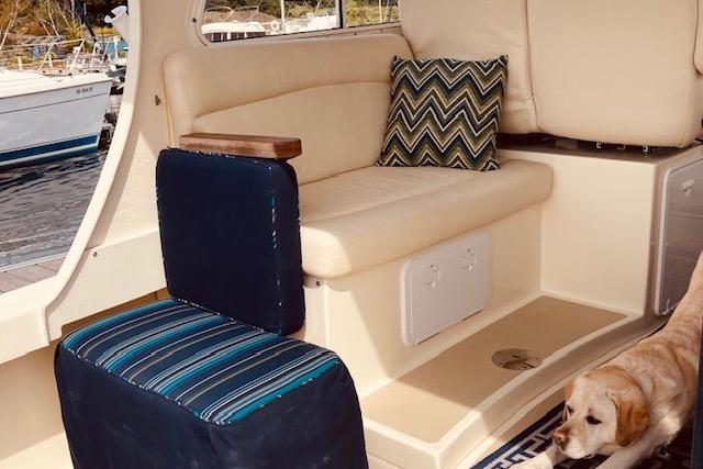 2015 Eastern 270 Islander boat interior with seating and a dog.