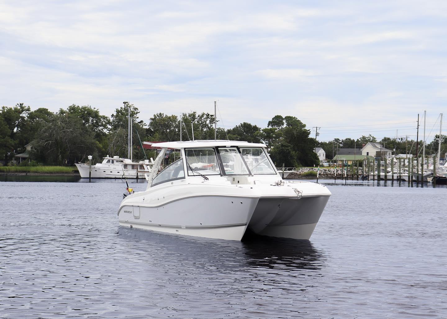World Cat - 50North