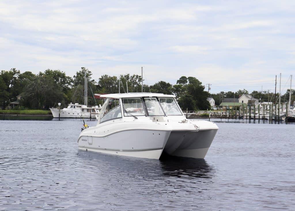 World Cat - 50North