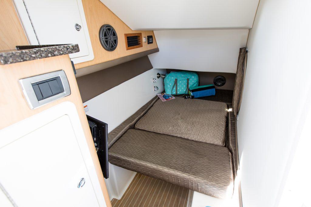 World Cat - 50North