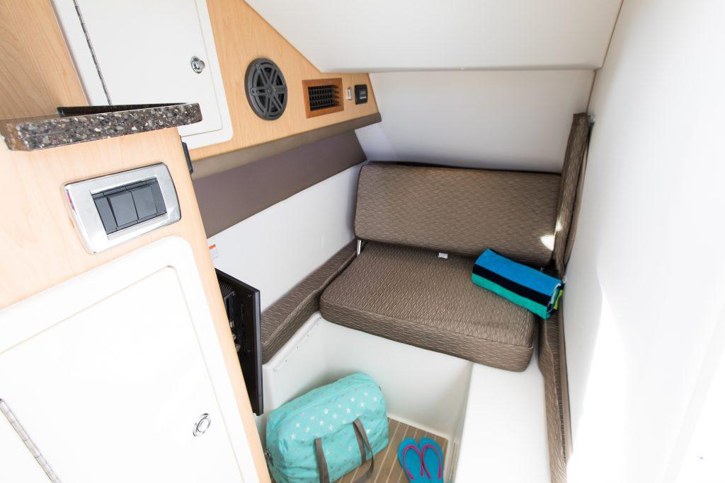 World Cat - 50North
