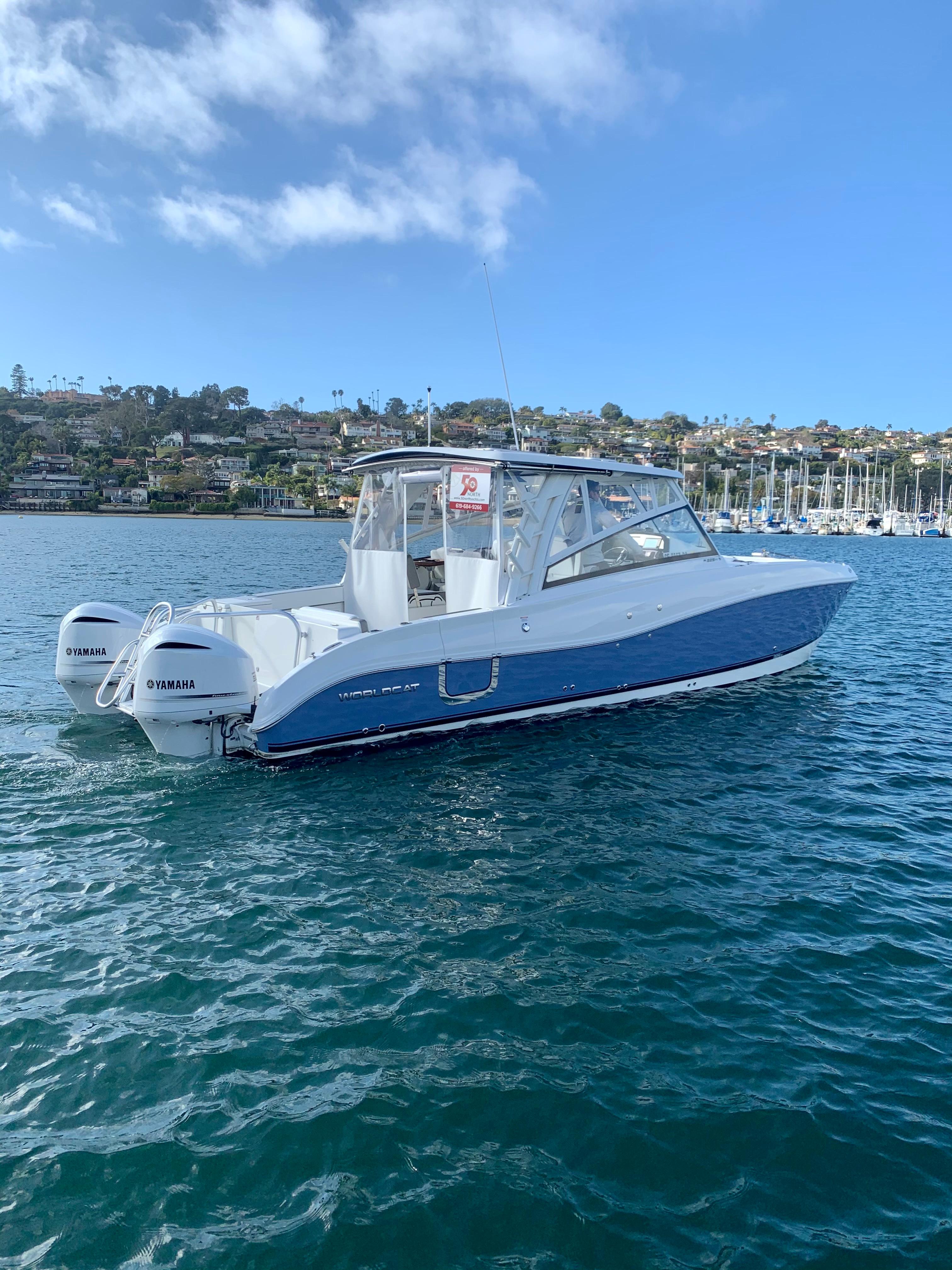World Cat - 50North