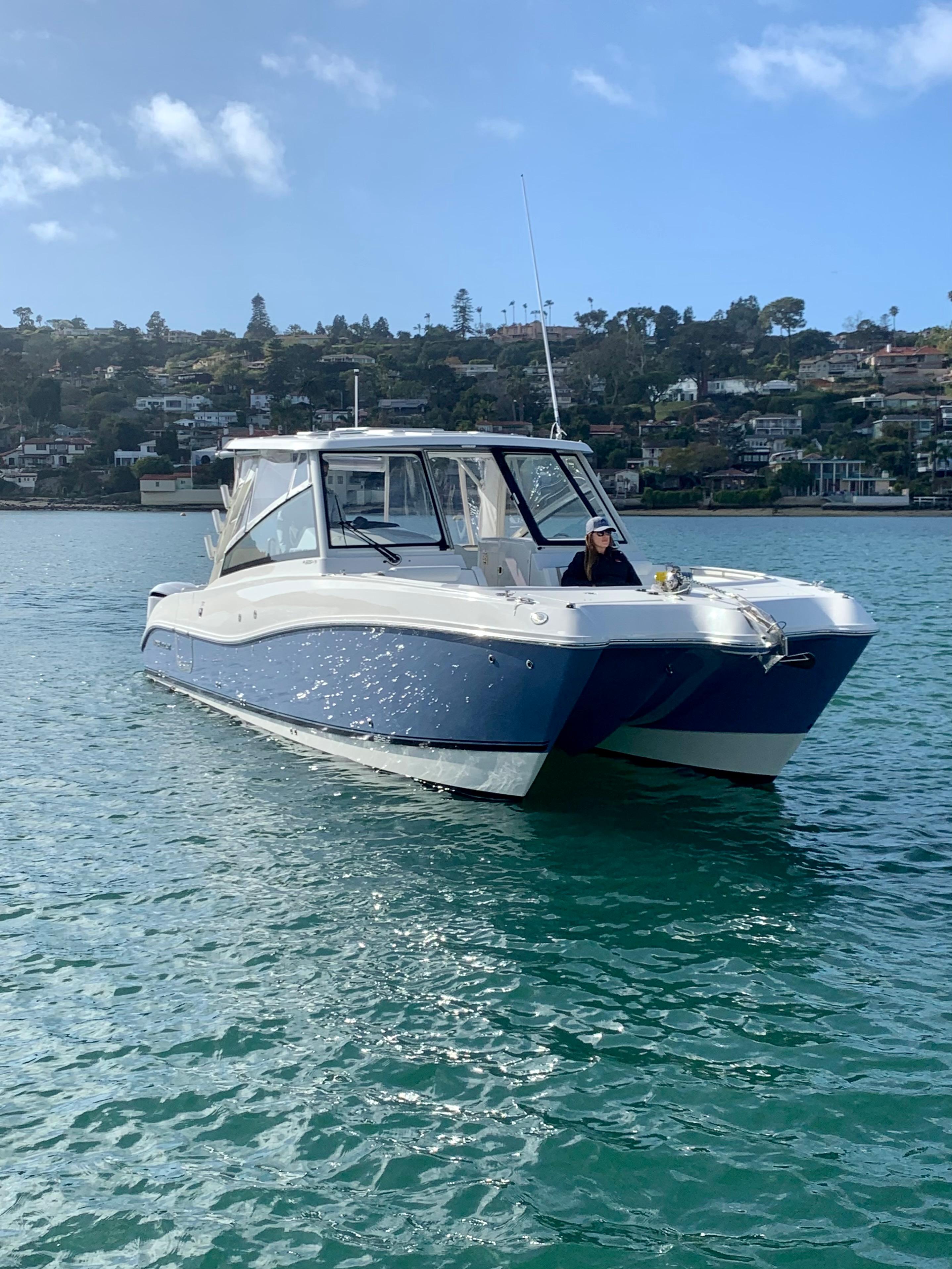World Cat - 50North