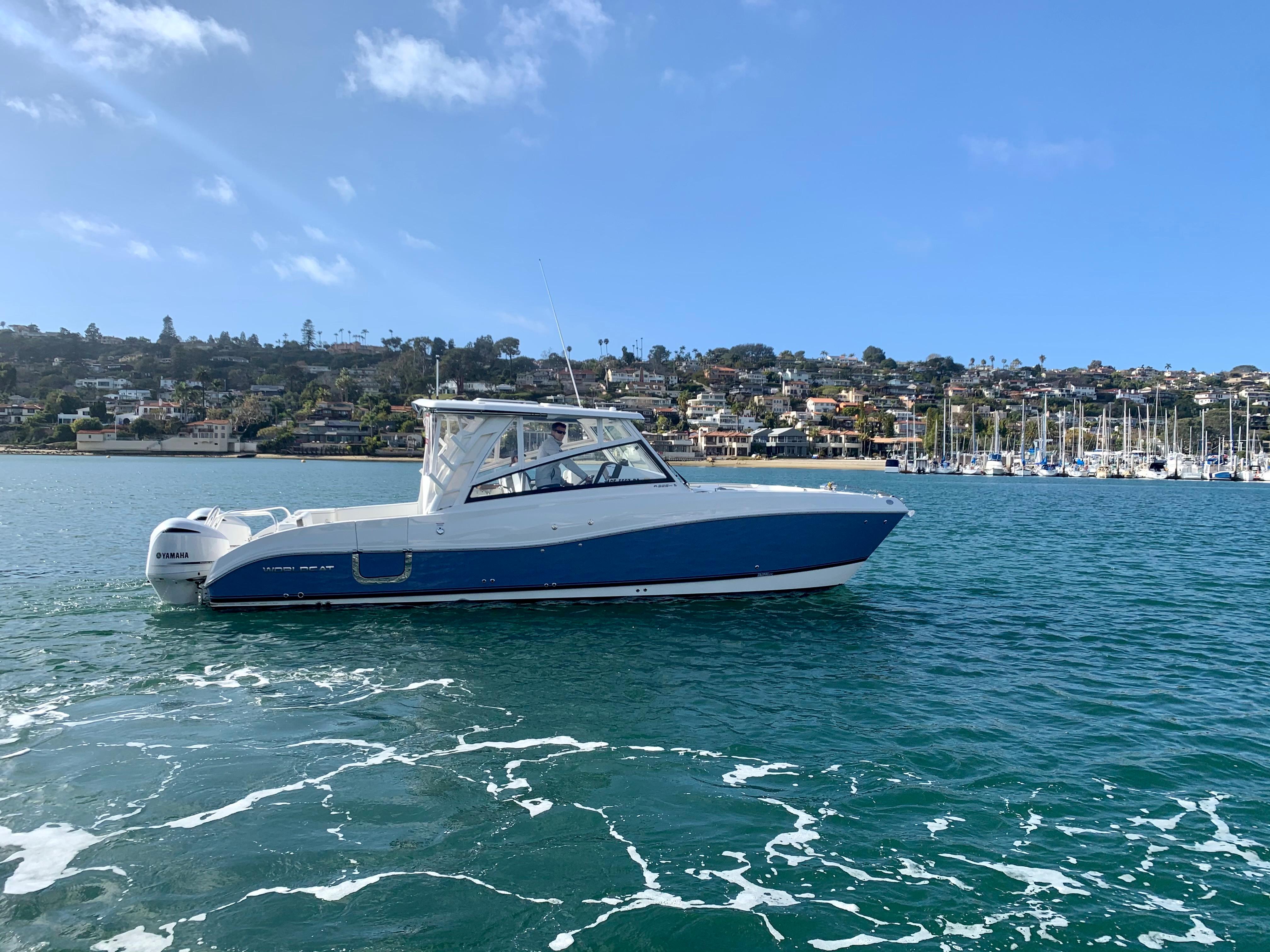 World Cat - 50North