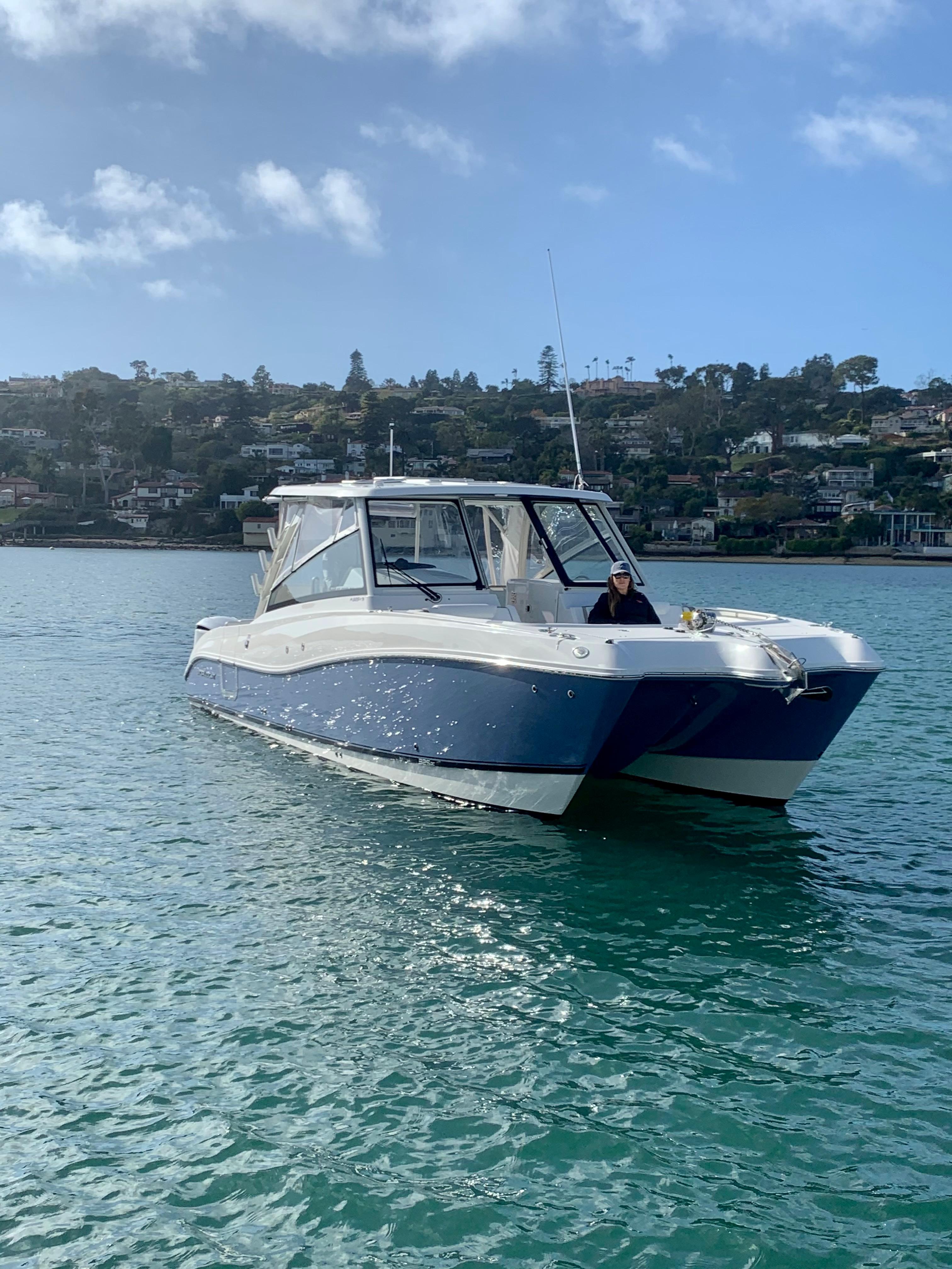 World Cat - 50North