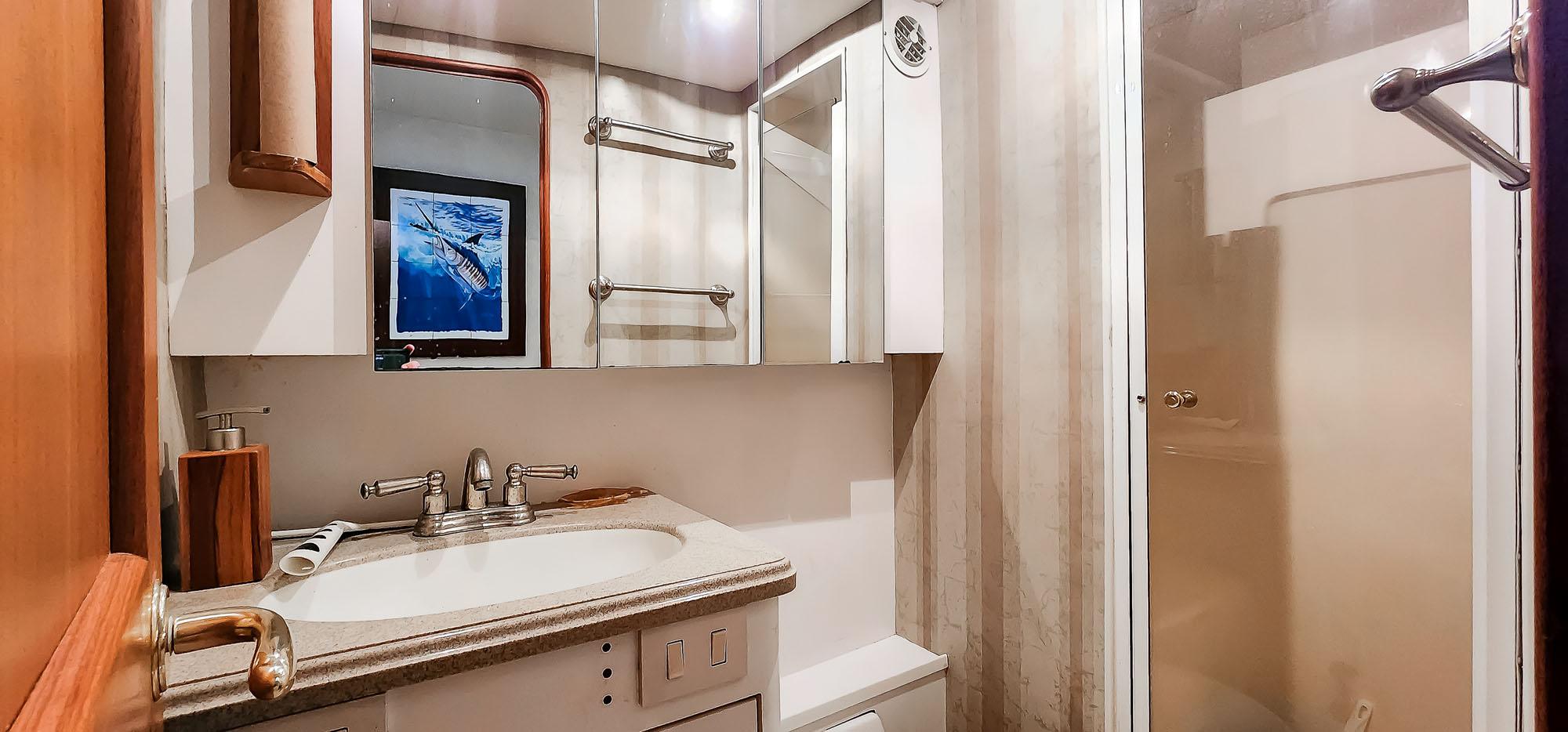 Guest Head and Shower