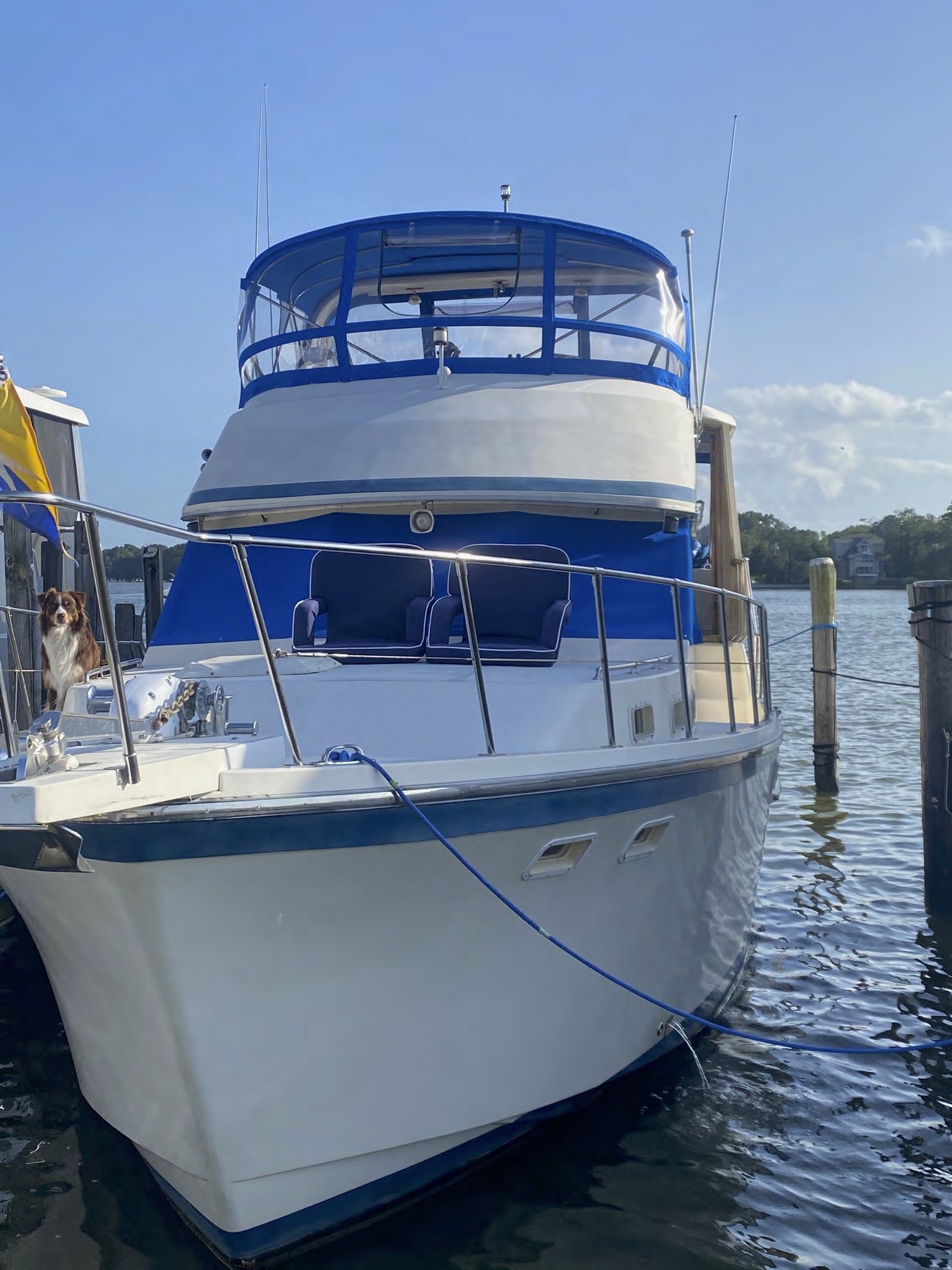 Mother Ocean Yacht Brokers of Annapolis