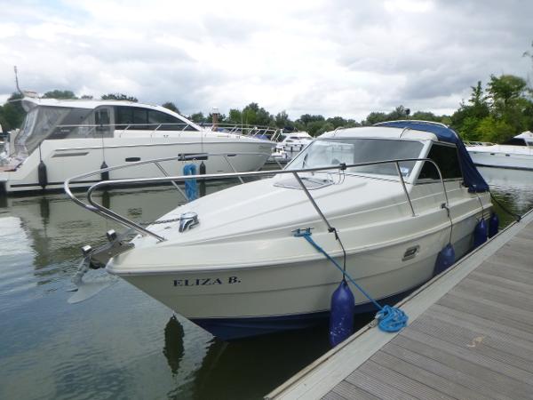 Hardy Seawings