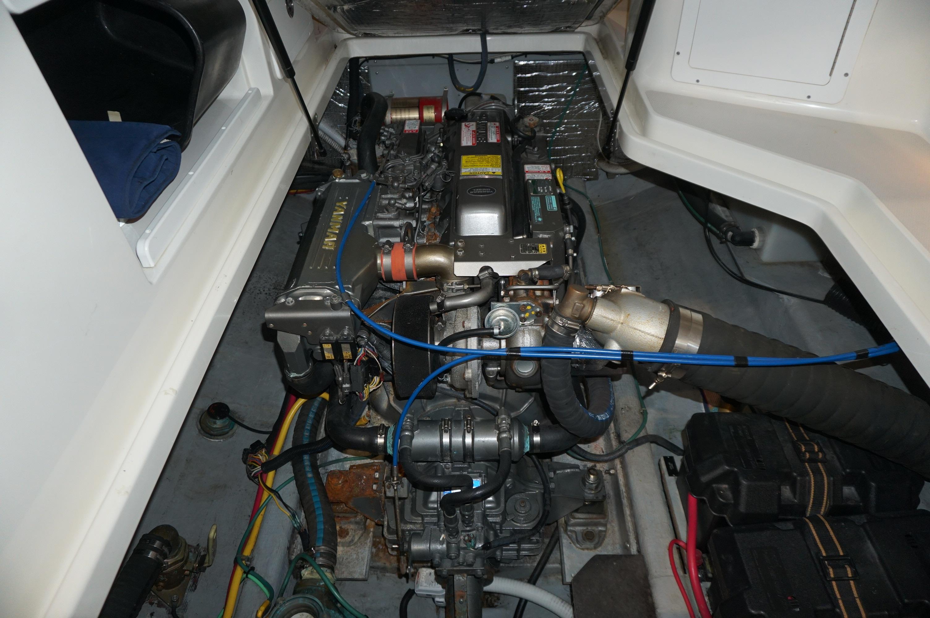 2006-back-cove-29-power-9865325-20250725114041123-1