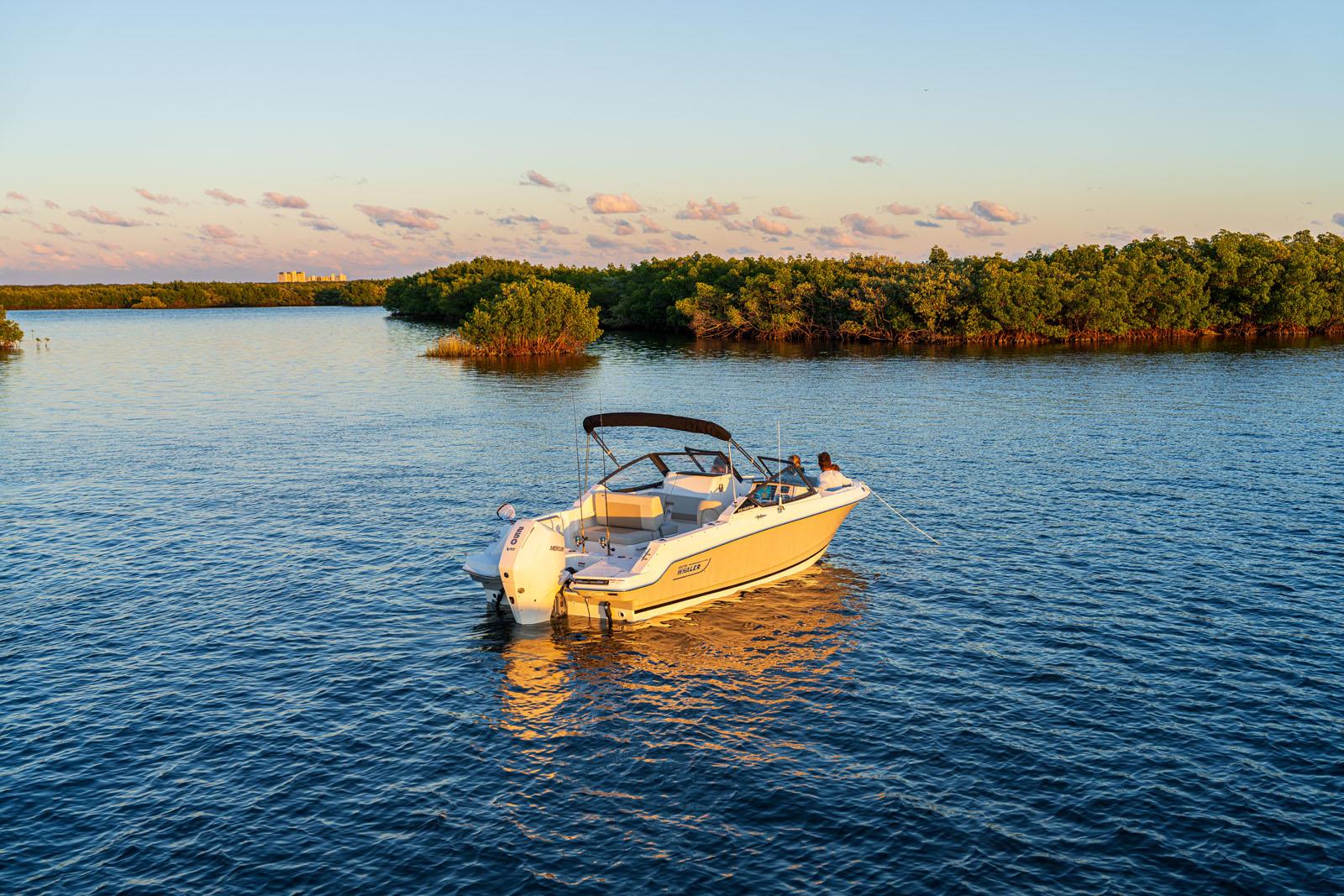 2024-boston-whaler-210-vantage-power-8935332-20250619114101329-1
