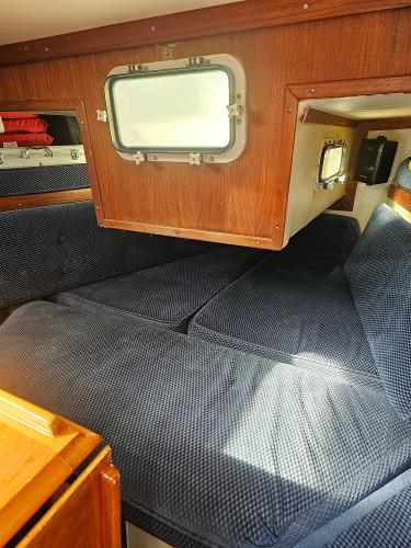 Cozy cabin interior of 1984 Schock NY 36 sailboat with blue cushions and wooden accents.