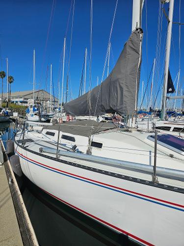 1984 Schock NY 36 sailboat docked in marina, clear blue sky, covered mainsail.