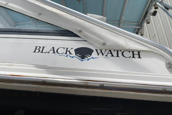 30' Black Watch, Listing Number 100873338, Image No. 4