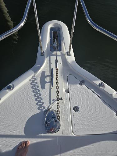 Pursuit-385 Offshore 2019-NO NAME PR-9775705 | Thumbnail